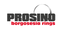 Logo Partner Prosino